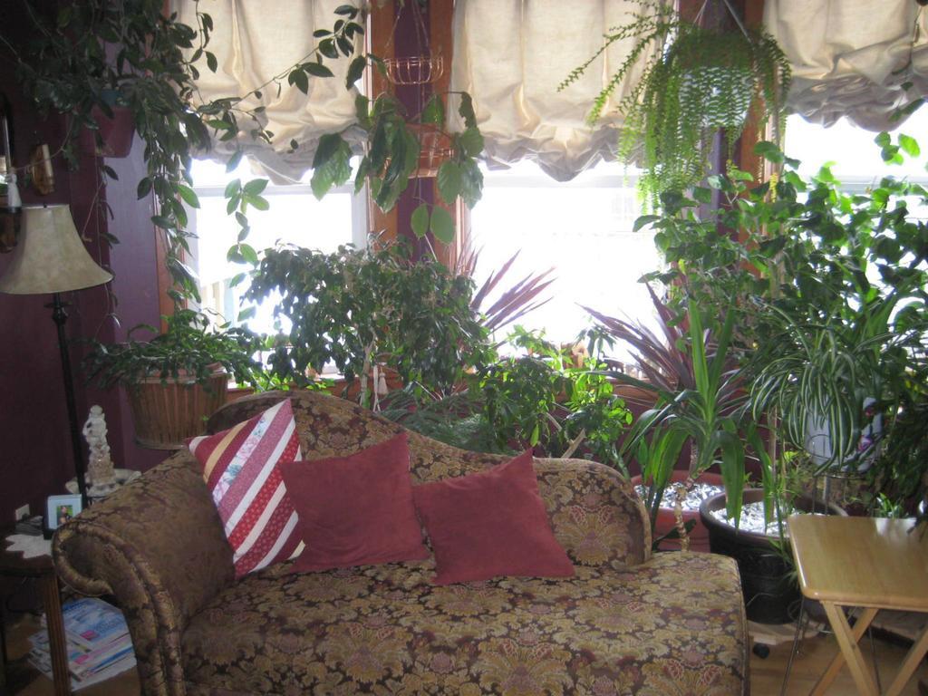 Phoenix House B&B Stettler Ngoại thất bức ảnh